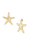 Große Seestern-Ohrringe